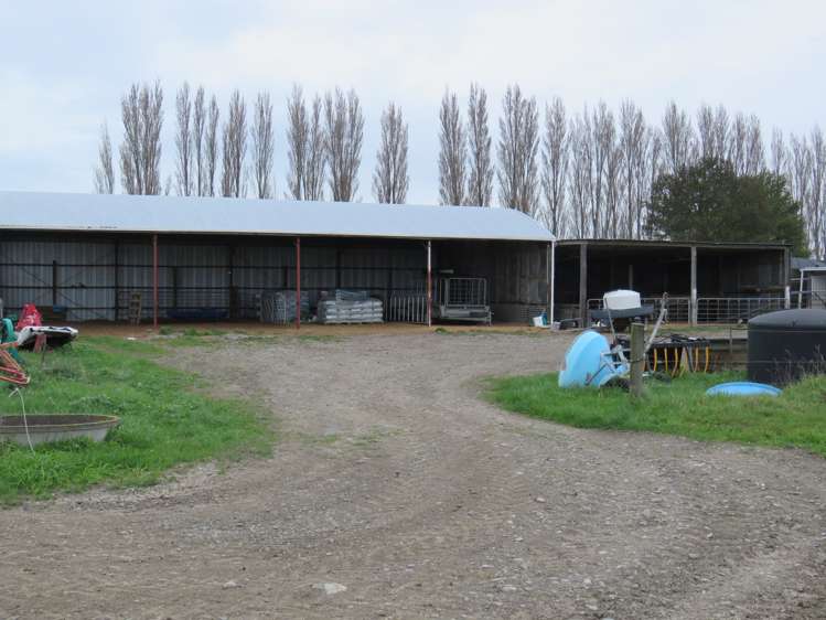 1267 Leeston Road Leeston_16