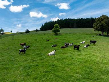 1325 Paparoa-Oakleigh Road_1