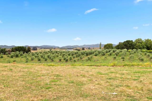 24 Miller Road Mangatangi_4