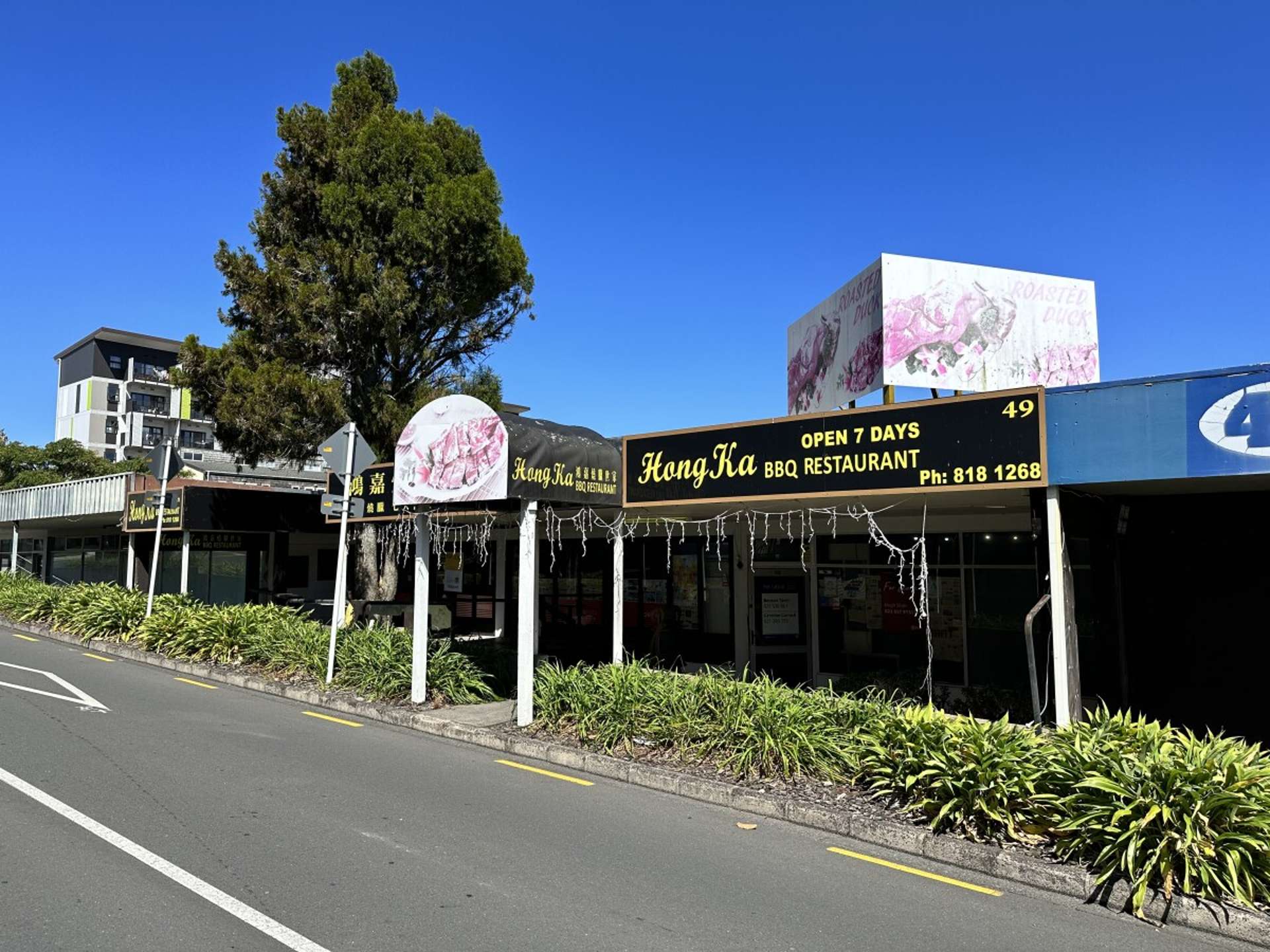 49 Glenmall Place Glen Eden_0