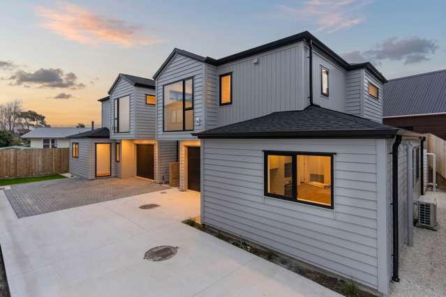 311 B,C,D Blockhouse Bay Road Avondale_1