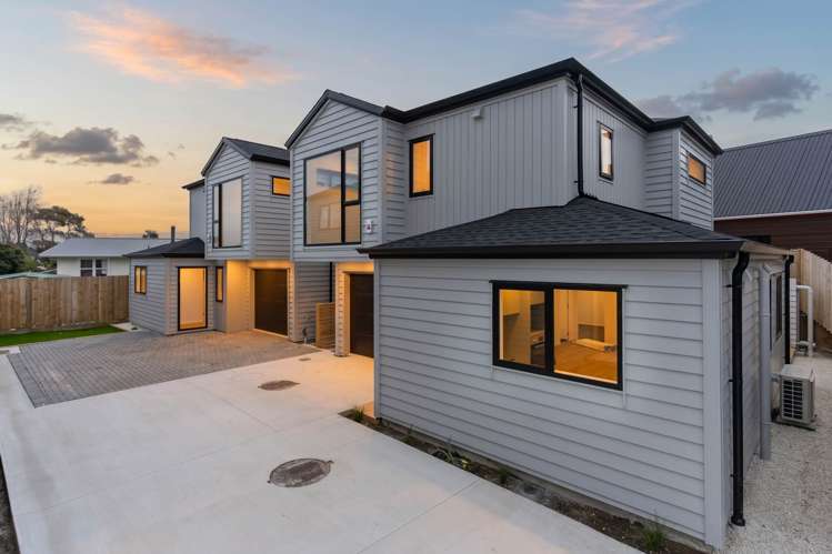 311 B,C,D Blockhouse Bay Road Avondale_1