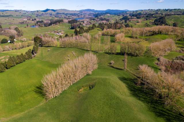 145 Totara Road Ngakuru_3