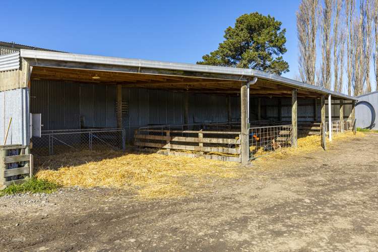 368 Crows Road Coldstream_11