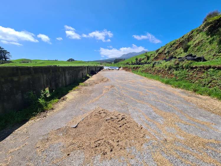 3009 Carrington Road Okato_19