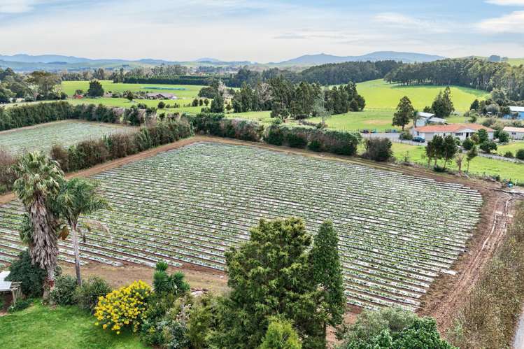 694 Mangakahia Road Poroti_15