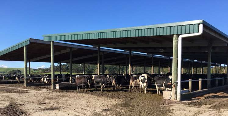 6036 State Highway 12 Arapohue_19