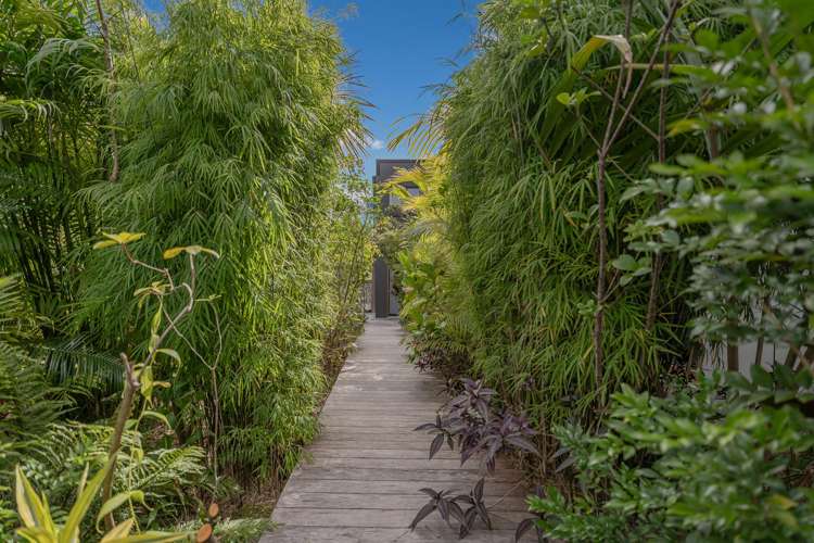 6 Robinson Road Whitianga_12