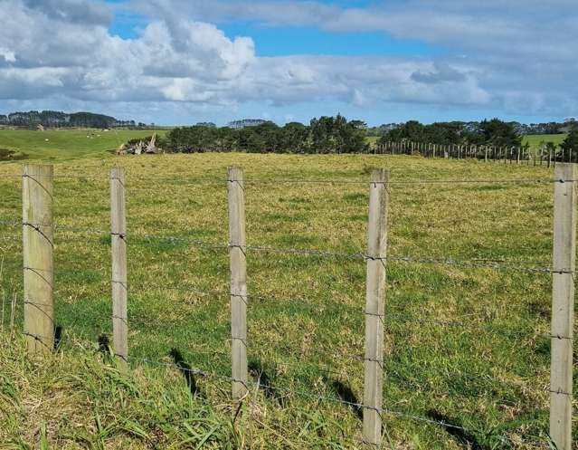 455 Mount Wesley Coast Road (Lot 1) Dargaville_3