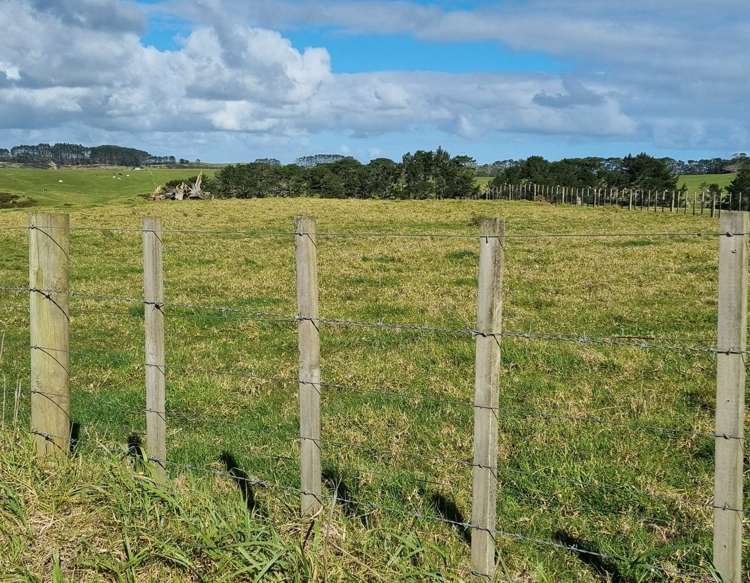 455 Mount Wesley Coast Road (Lot 1) Dargaville_3