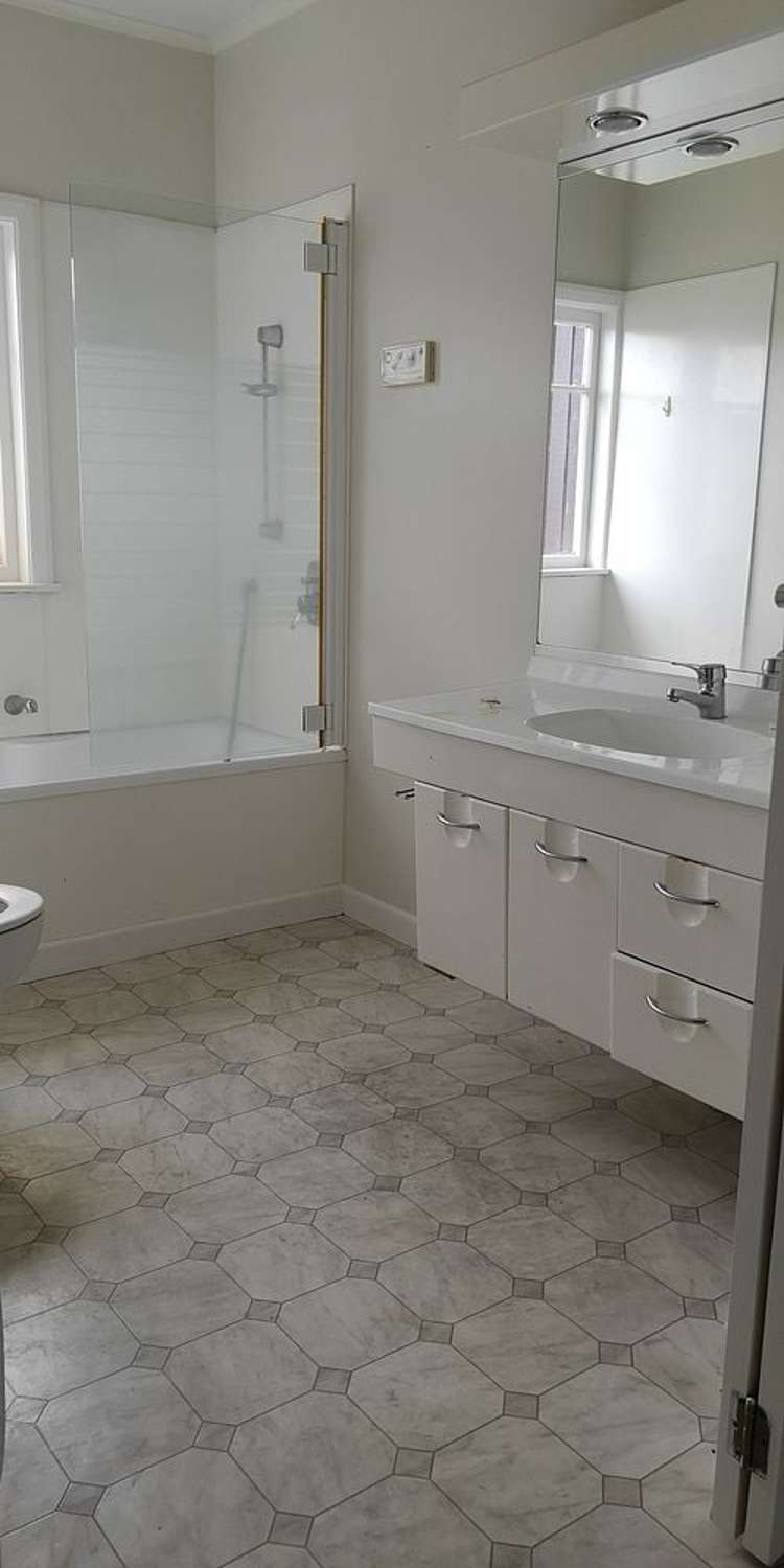 22 Nixon Street Hamilton East_8