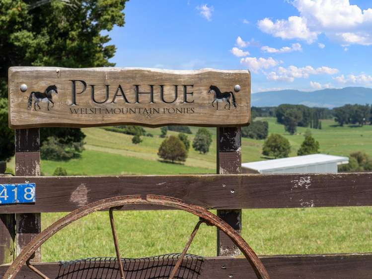 418 Parklands Road Te Awamutu_27