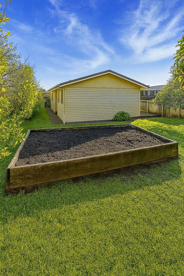 1/31 Raines Avenue Forrest Hill_8