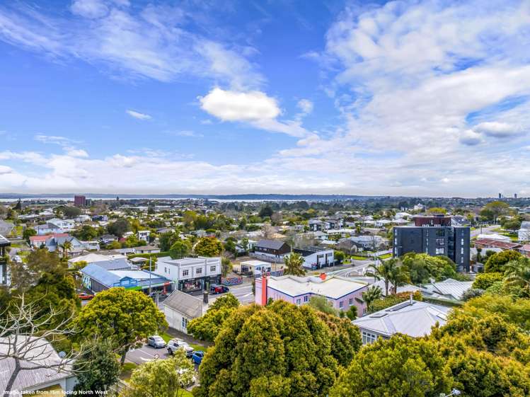 29 Lloyd Avenue Mount Albert_6