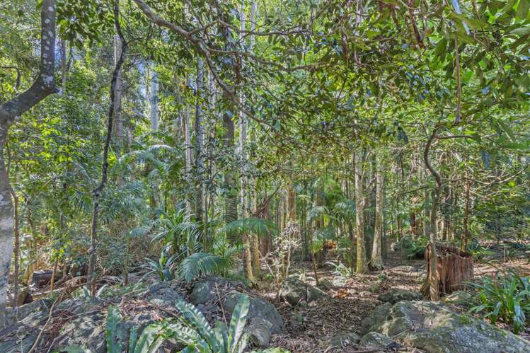 34 Wongawallan Road Tamborine Mountain_30