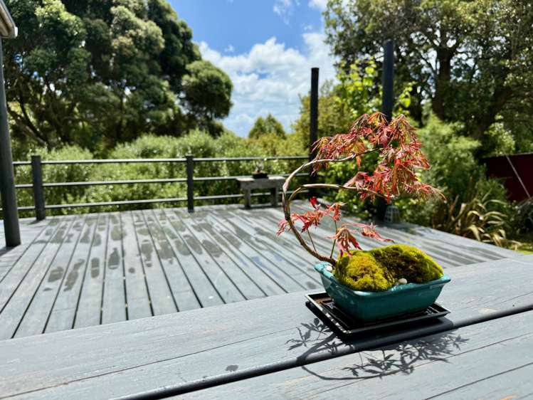 191 Hills Road Raglan_54