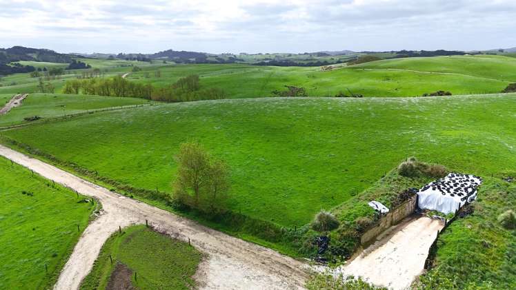 77 Parker Road Wellsford_10