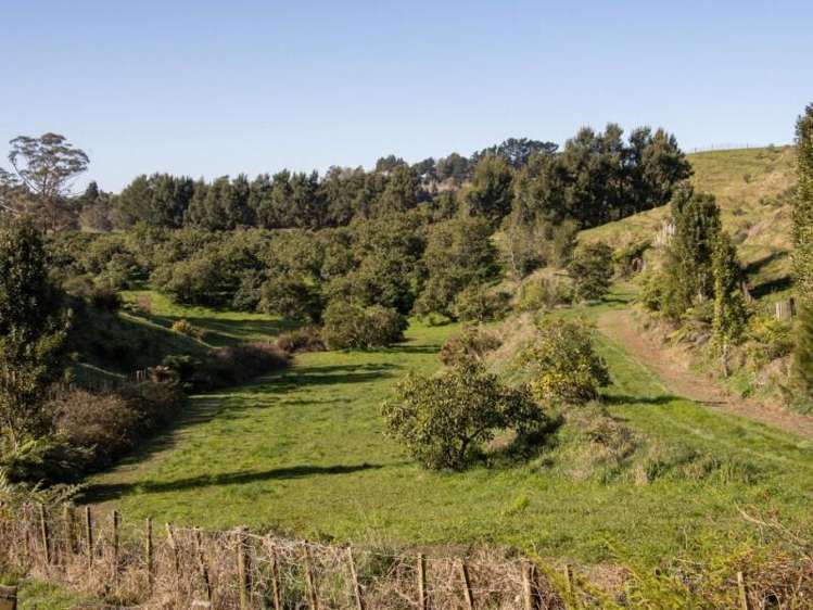229 Walford Road Katikati_28