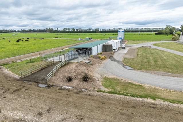 94 Brogdens Road Lowcliffe_3