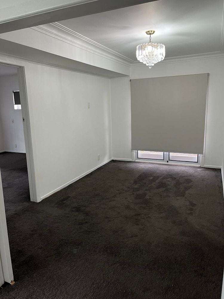 6 Freer Street Mount Roskill_6