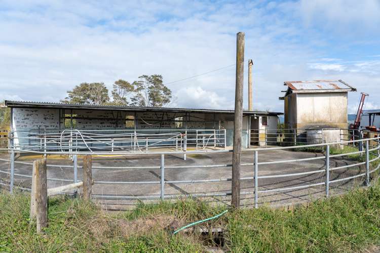 166 Crawford Road Te Kowhai_6