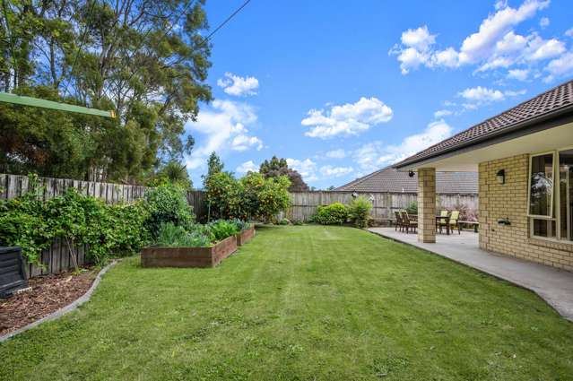 61 Parkhaven Drive Papakura_4