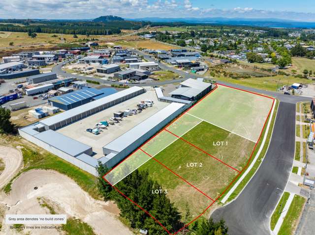 Mahoe and Mamaku Streets Tauhara_2