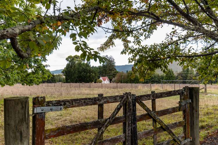 254 Kohatu-Kawatiri Highway Kahurangi National Park_21