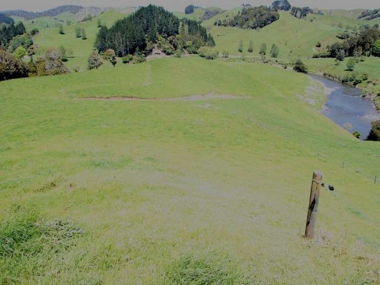 Otaraoa Road Tarata_18