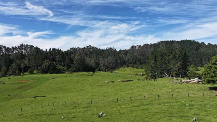 140 Kenana Road Mangonui Surrounds_41