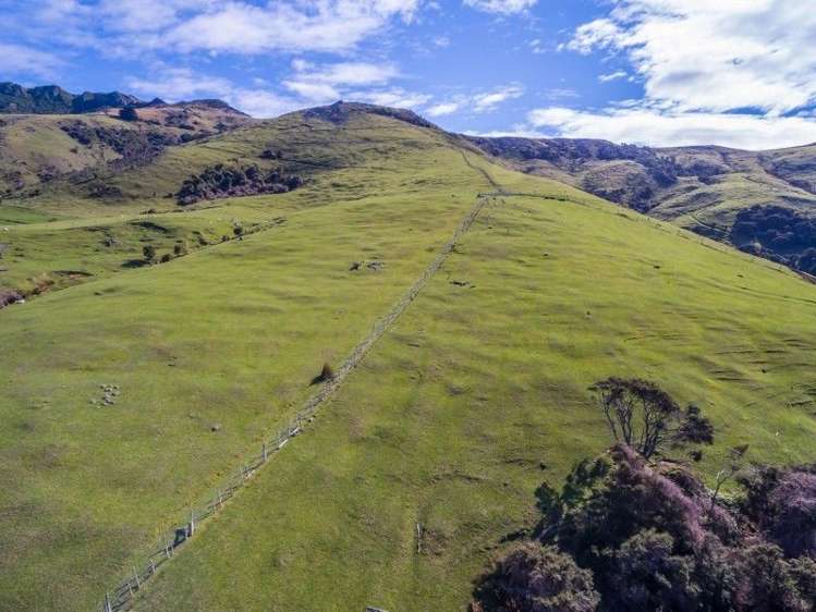 175 Barrys Bay Valley Road Duvauchelle_6