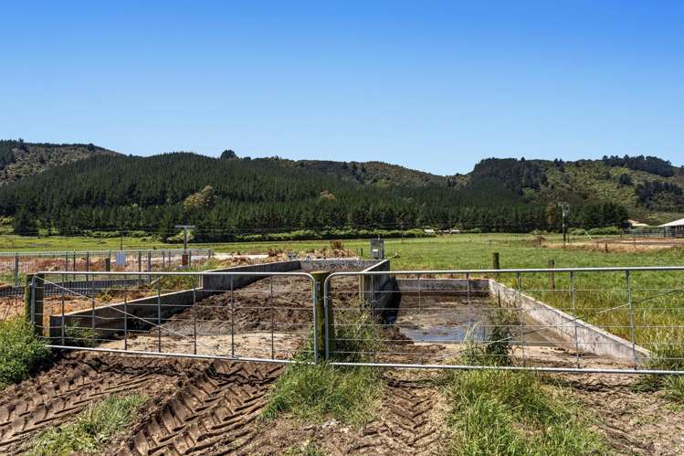 2106 Galatea Road Waiohau_14