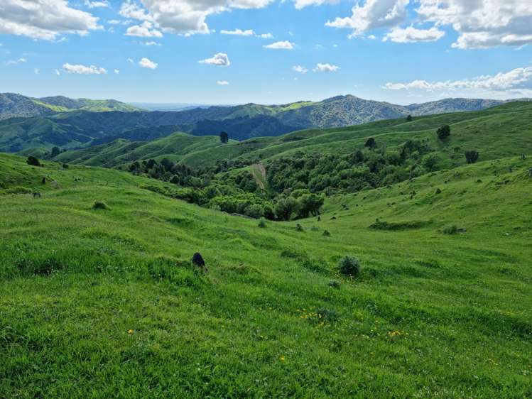 852 Mangawara Road Tahuna_20