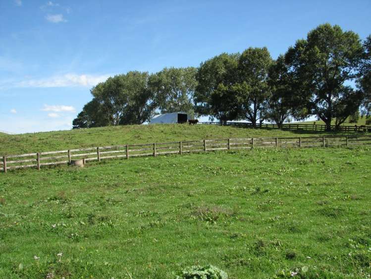 205 Gunn Road Waharoa_7