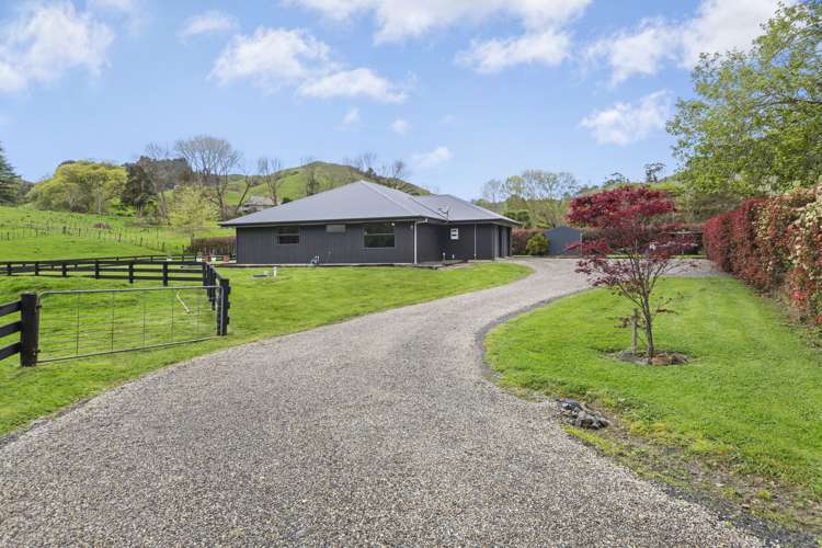 24a Cogswell Road Raglan_25