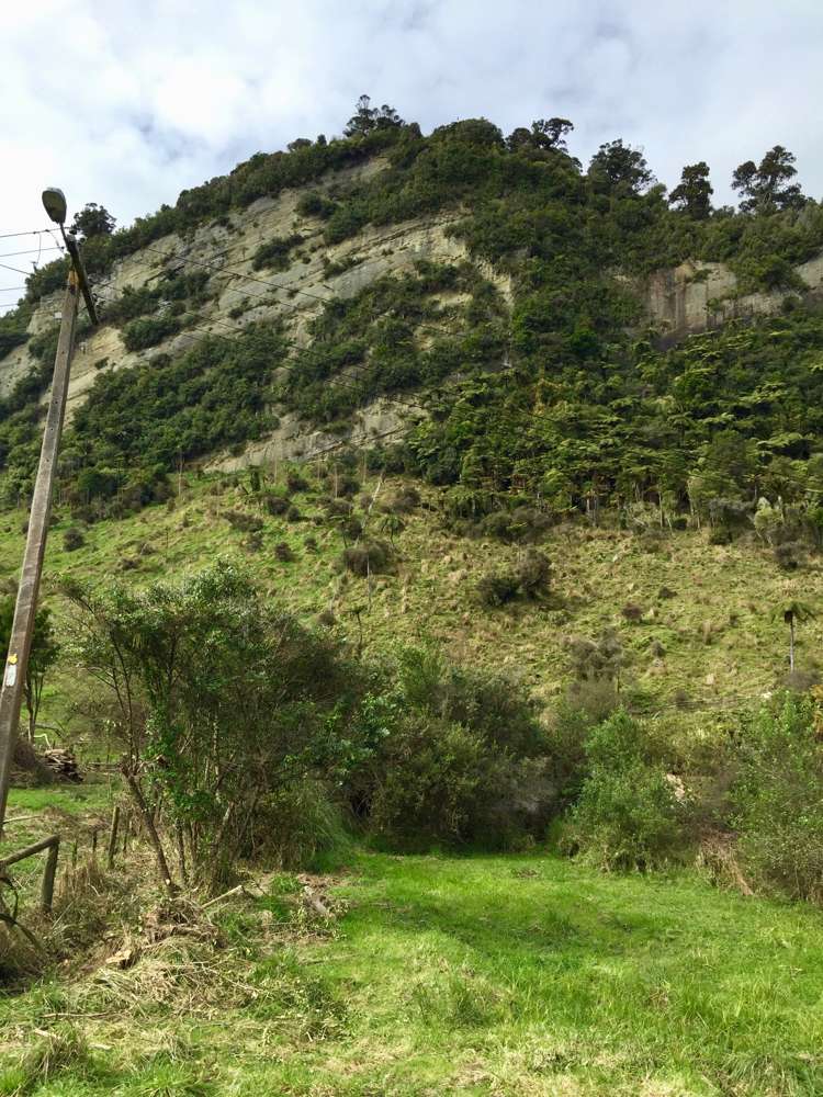 20 Horncastle Crescent Kahurangi National Park_1