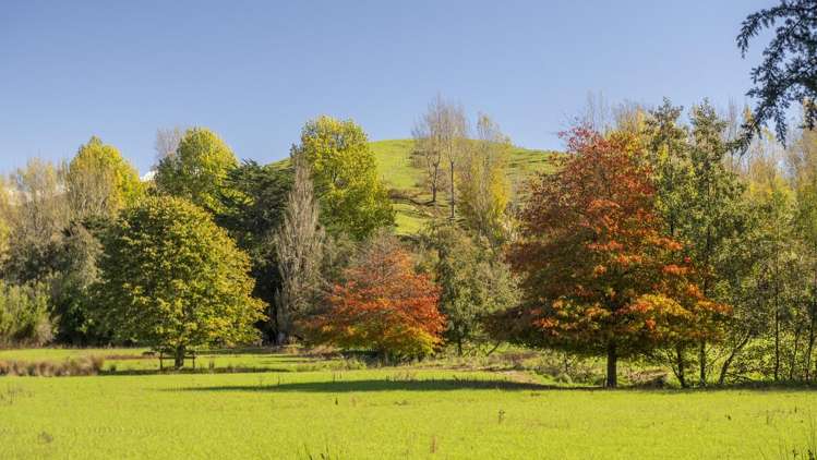 72 Te Hau Road Masterton_9