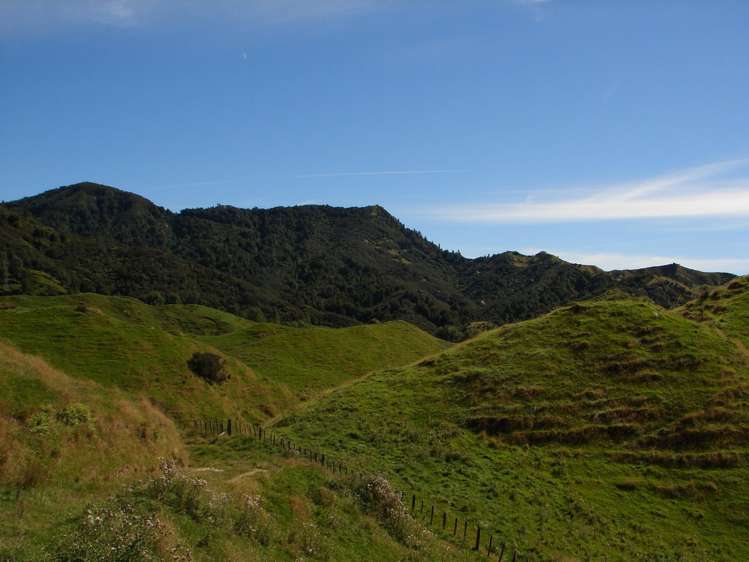 839 Ruatiti Road Raetihi_16