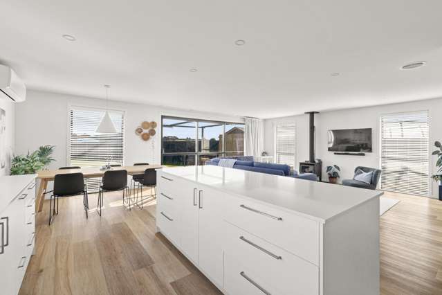 39 George Street Bulls_3