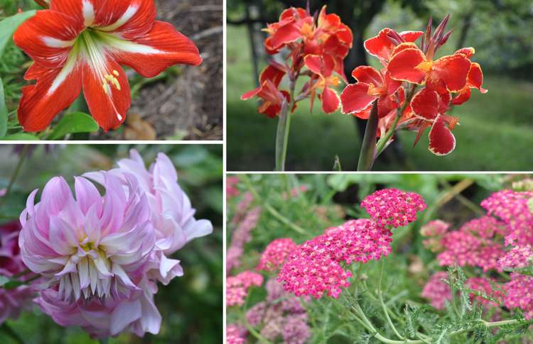 318 Franklin Road Paparoa_73