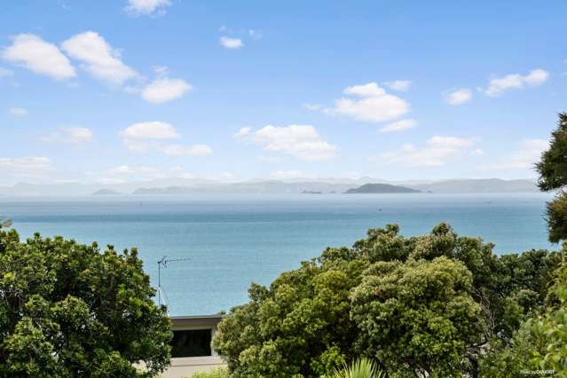 22 Island View Drive Gulf Harbour_4