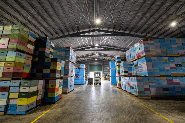 2206 State Highway 10 Kerikeri_18