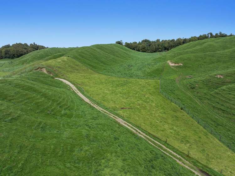 103 Rendall Road Rotoma_12