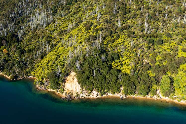 Lot 2 North West Bay Pelorus Sound_11