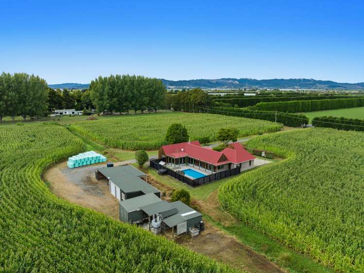 164 Otakiri Road Edgecumbe_11