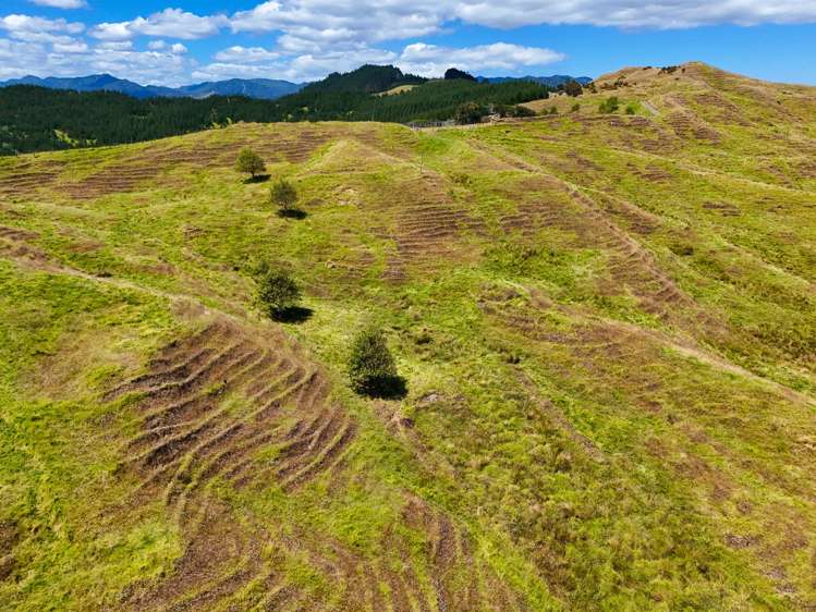 Brindle Road Opononi_17