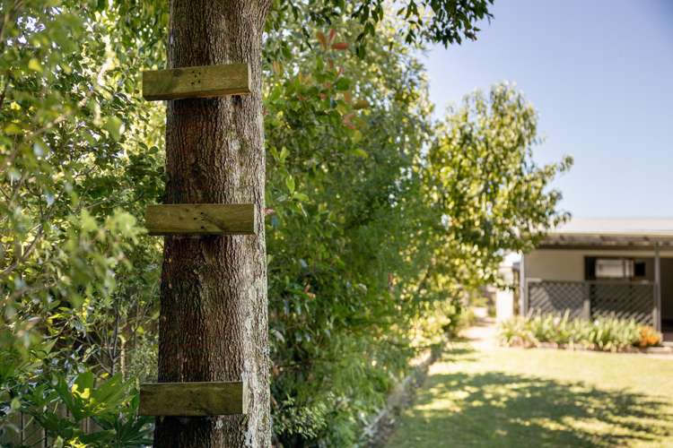 7 Ratima Place Whakatane_15