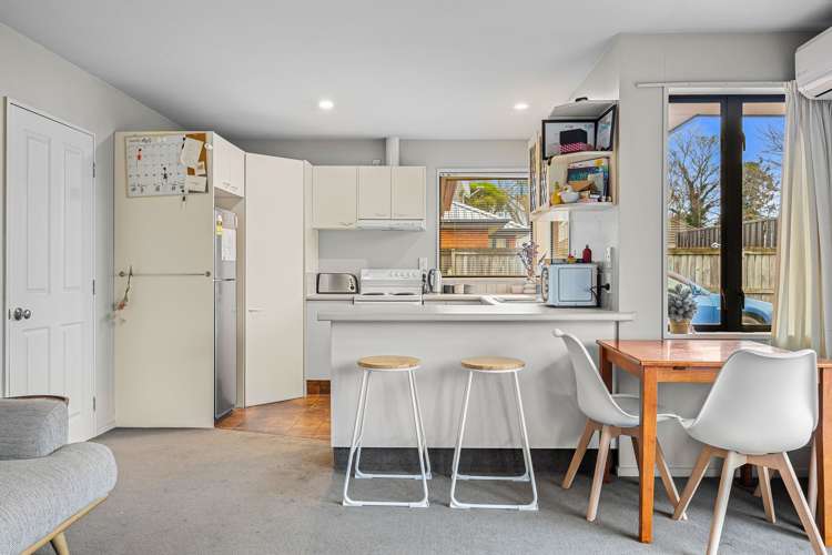 46a Sydney Street Spreydon_5