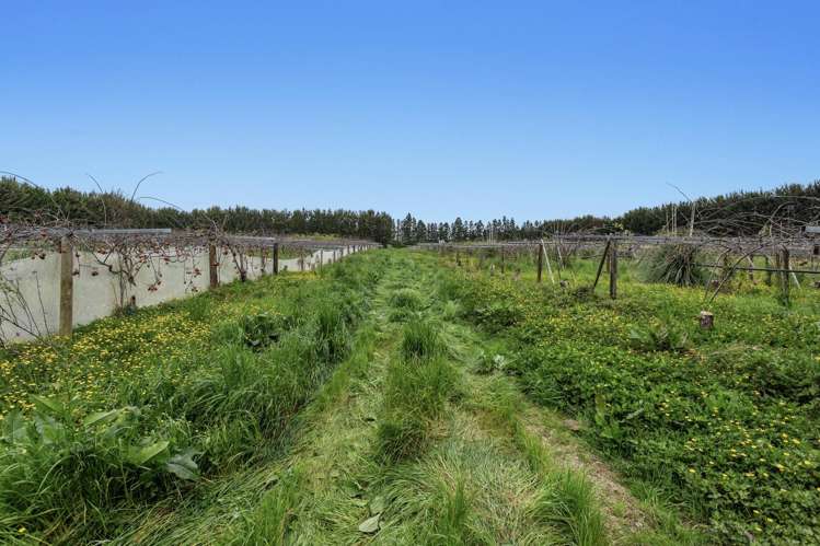 37 Selwyn Road Poroporo_5