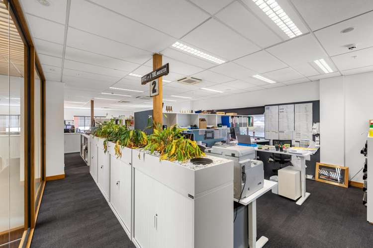 9 Francis Place Te Aro_9